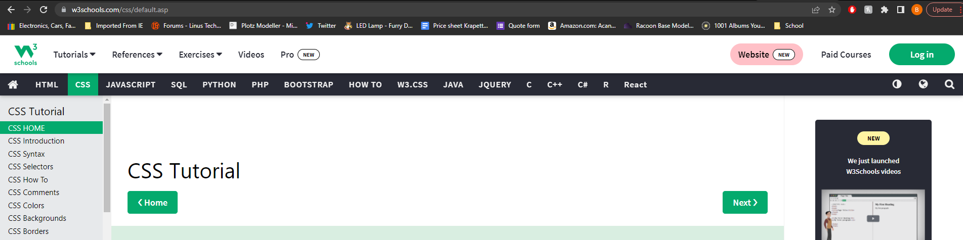 Funkee with a pride flag